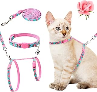 Cat leashes and collars Clearance
