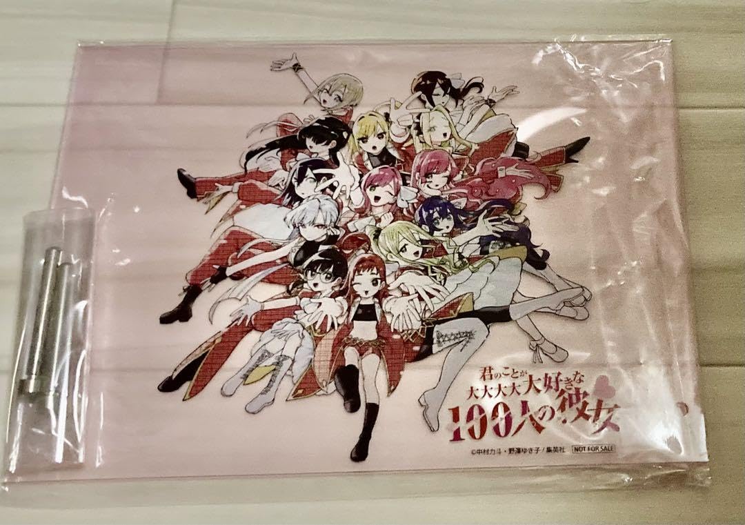 Amazon.co.jp: 君のことが大大大大大好きな100人の彼女 アクリルパネル 