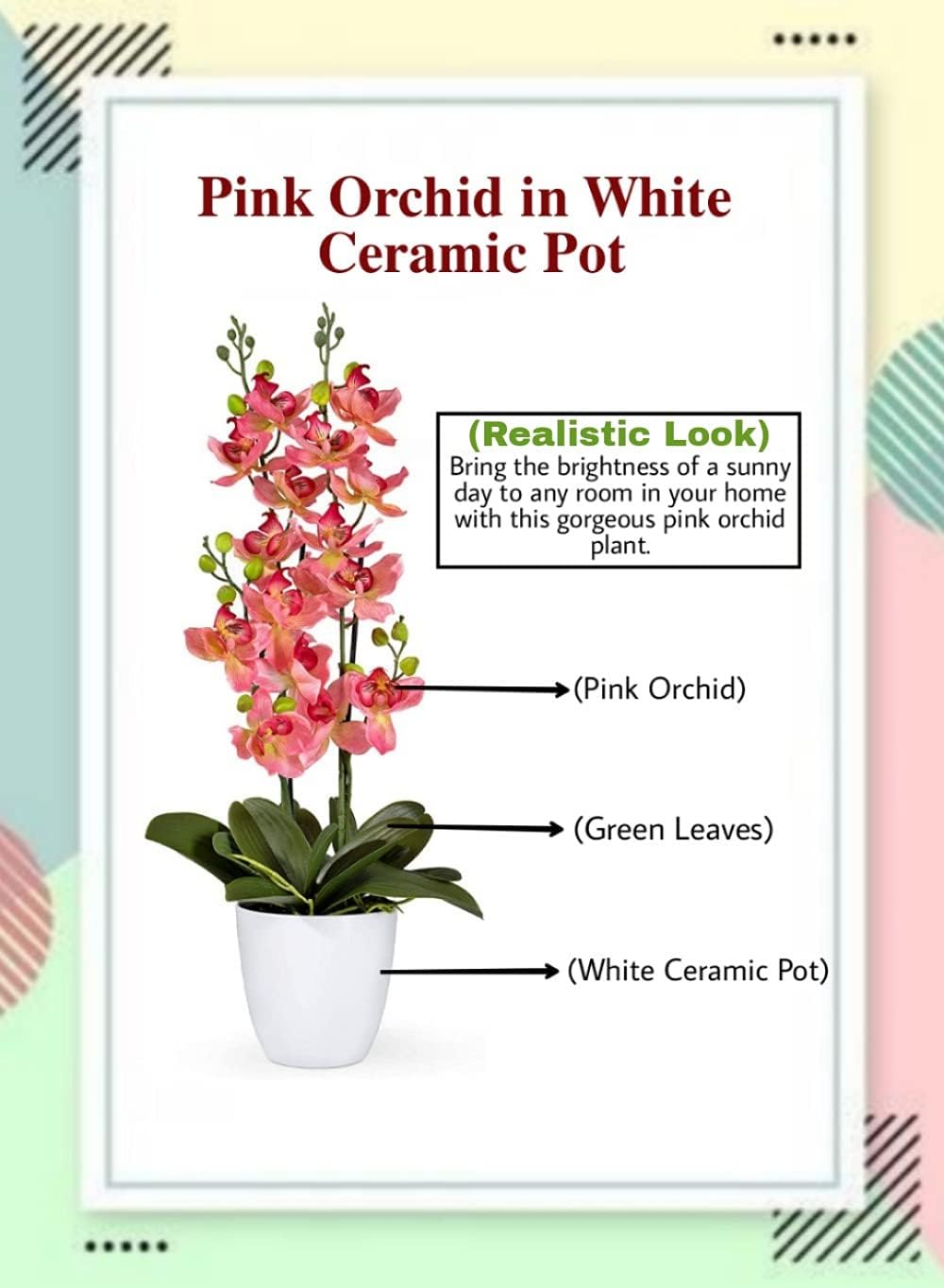 Serene Spaces Living Pink Orchid in White Ceramic Pot, Perfect for Weddings and Home Décor, Real Looking Plant for Decoration, Sold Individually, Measures 26" Tall X 6" Diameter