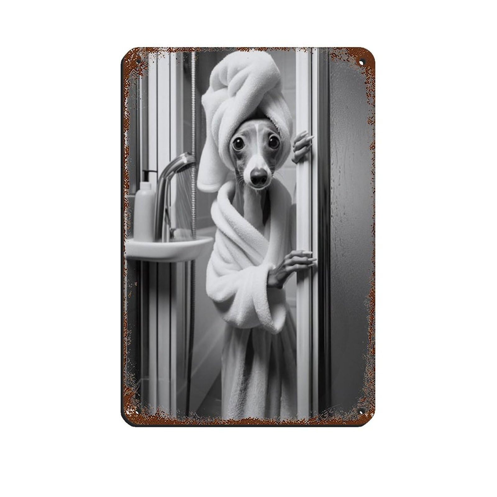 Lxwnze 20L X 30W Cm Italian Greyhound Bathroom Art Poster Tin Sign Vintage Metal Pub Club Cafe Bar Home Wall Art Decoration Poster Retro 8X12inch(20X30cm)