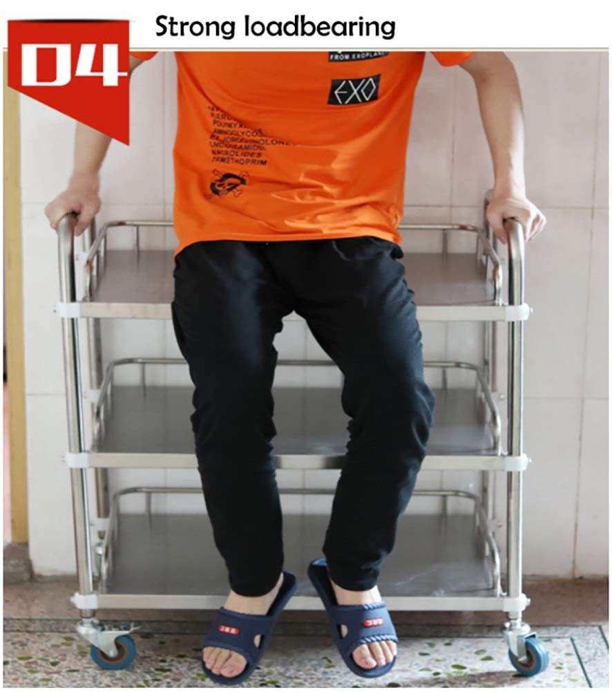 Ruchome Trolleys Stojak Do Przechowywania Wózek Medyczny Wózek Medyczny 2 -Poziomowy Salon Beauty Salon Rolling Tolley, Szpital/Klinika Dentystyczna Sprzęt Medyczny, Uniwersalne Koło Hamulcowe,