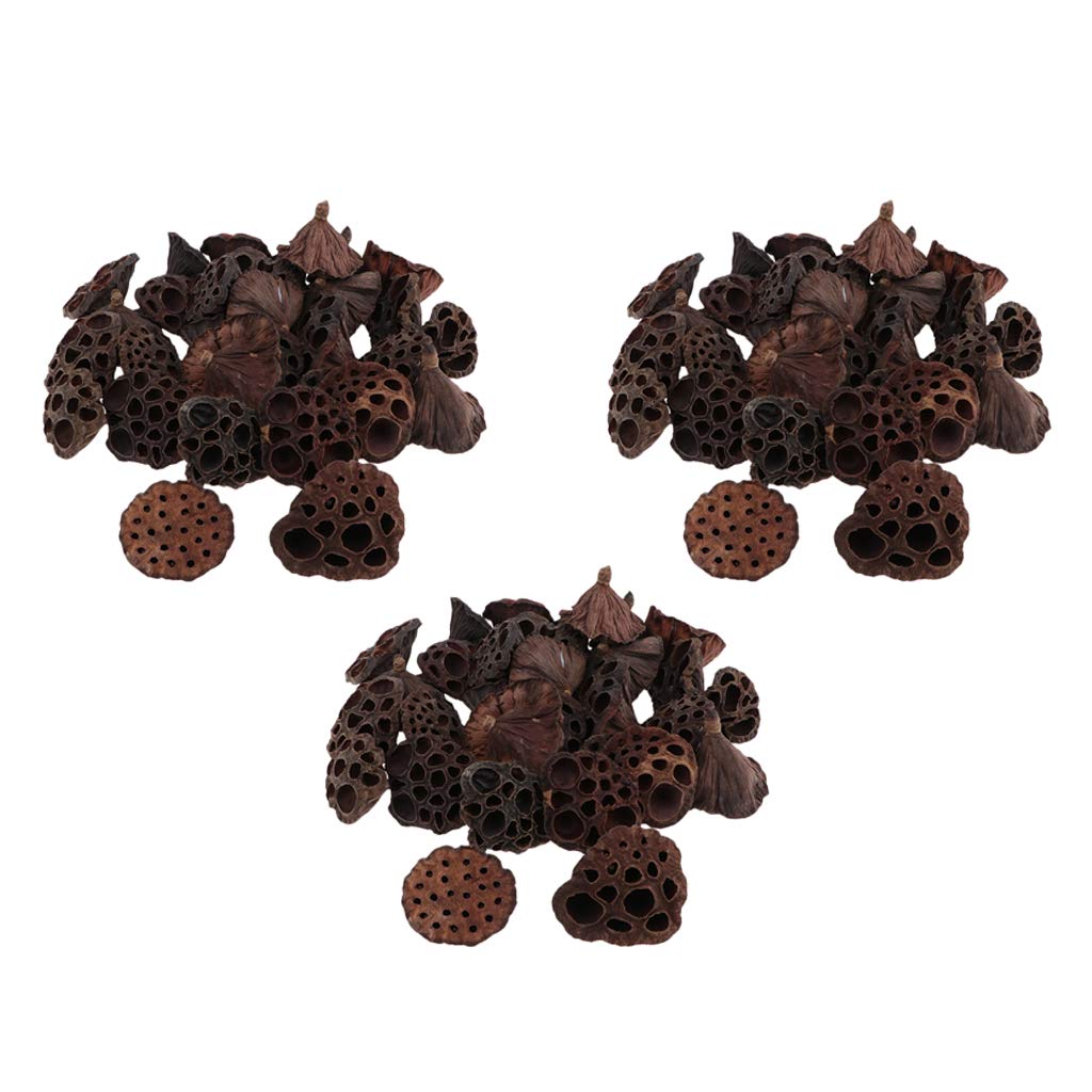 F Fityle 90pcs Fleurs de Lotus Séchées Naturelles pour L'artisanat de Décor Floral de Bricolage