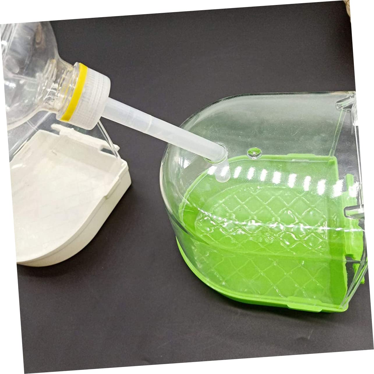 Totority 1Set Sturdy Parrot Bird Bathing Tub Simple Hanging Bath Basin for Cage Pet Bird Bath for Parakeets Cockatiels and Birds with Water Feeder