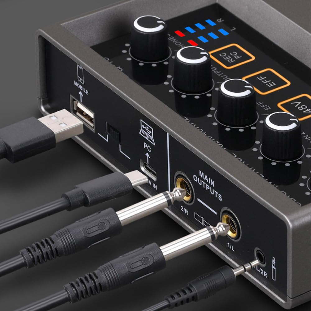 Scheda Audio Interfaccia Audio Registrazione Interfaccia Audio XLR Riverbero DSP Alimentazione Phantom 48v Scheda Audio Risoluzione 16 Bit/48 Khz Plug And Play Per Registrazione