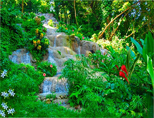 imPUZZibLE Puzzles - Jamaica Waterfall - Difficult 1000 Piece Jigsaw Puzzle for Adults, Teens, Kids - Hard - Best Pieces for Adult and Kids - Hobbies - Bucketlist Locations