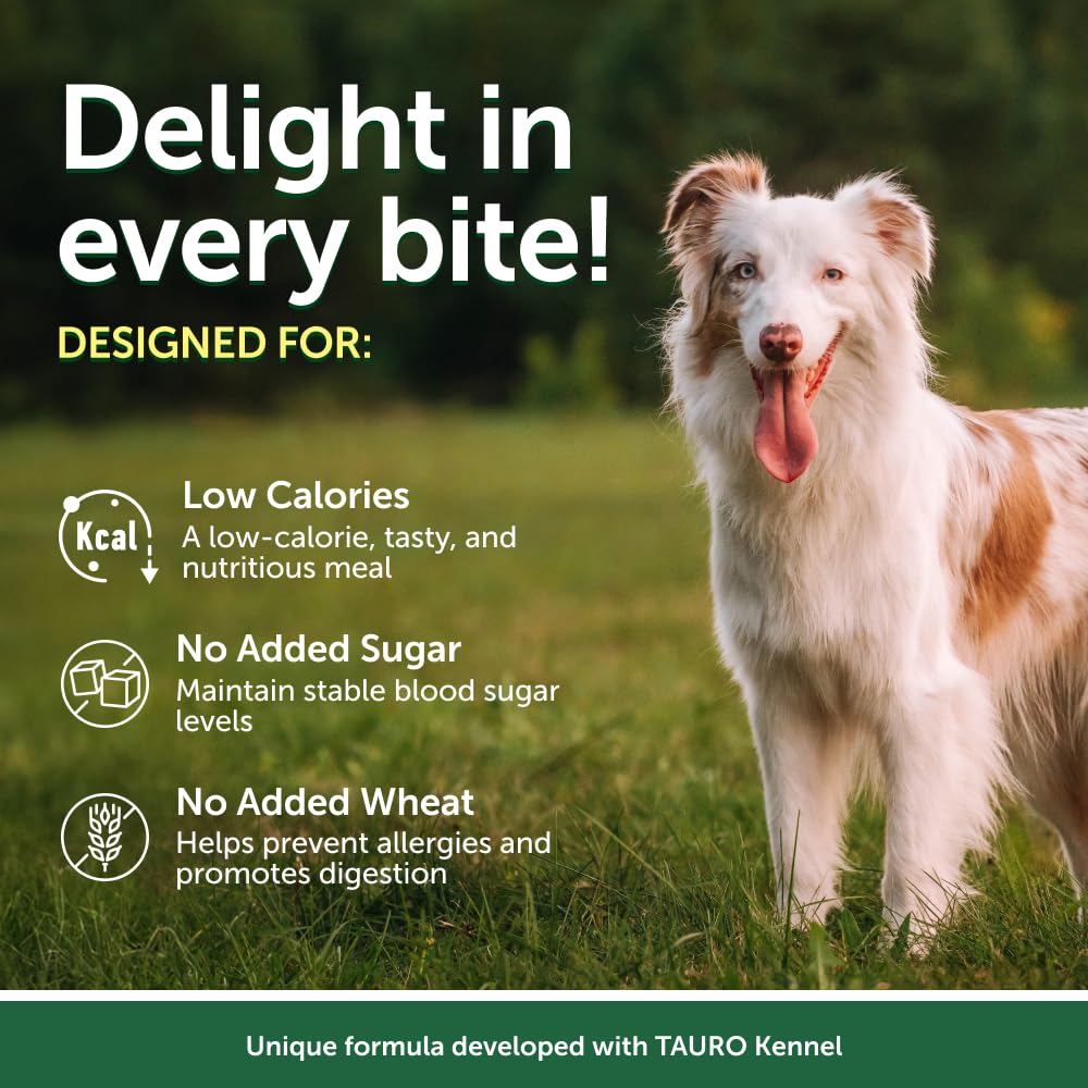 Nature's Protection Superior Care Nourriture humide pour chiens adultes, sacs de thon à haute teneur en protéines pour digestion sensible, peau et pelage sains de toutes races, chiens à poils blancs