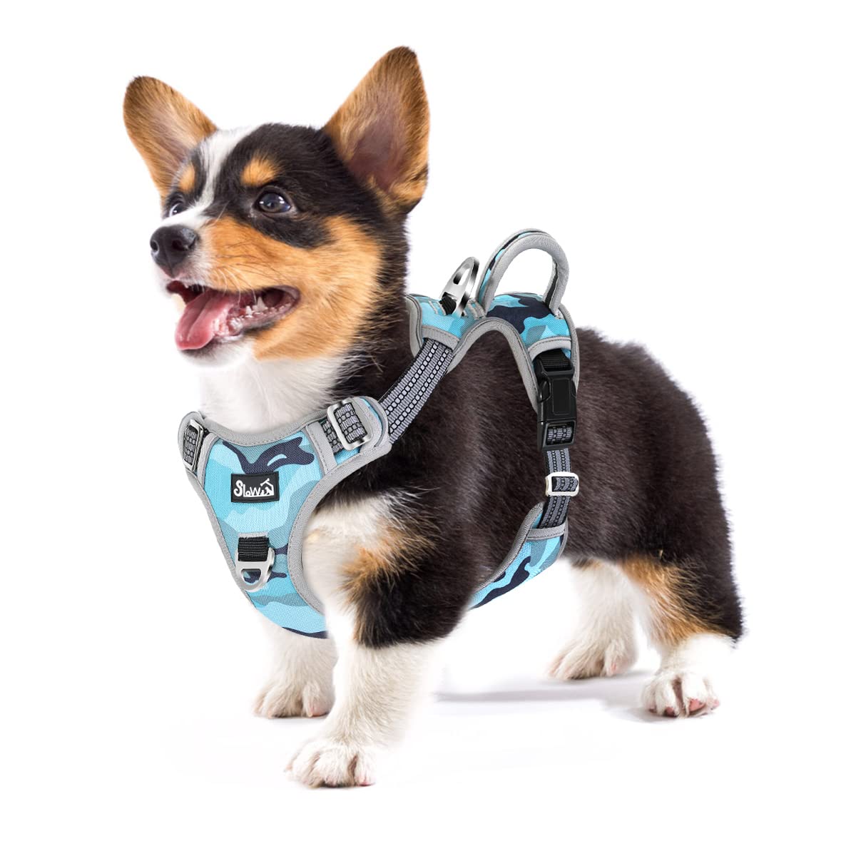 Eyein Dog Harness Small Dog, Anti Pull Adjustable Heavy Duty Pet Vest Harness with 2 Clips, Easy Control Escape Proof Puppy Harness with Soft Padded Handle Reflective for Outdoor Training Walking, S
