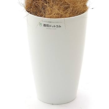 Amazon｜フェイクグリーン 光触媒 造花 人工 観葉植物 造花