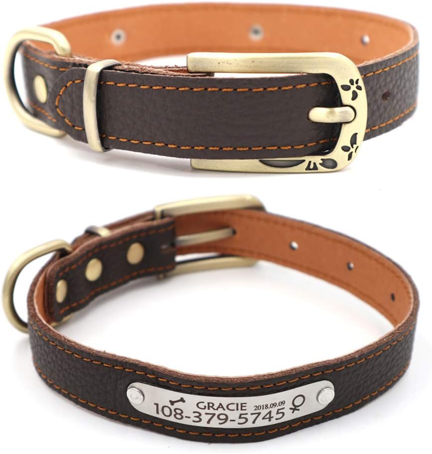 Collar de Cuero Personalizado para Gato con Placa de Identificación