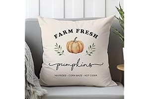 Cozy Farm Fresh Pumpkin Pillow