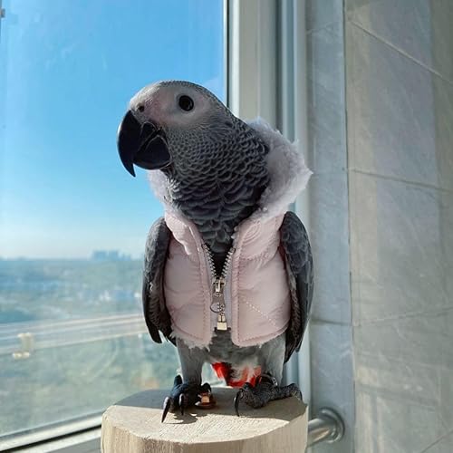 Bird Cloth Christmas Party Birthday Costume for Parrot Halloween Pet Birds Clothes Birds Cosplay Outfit Hoodies (Black,XL)(Pink,2M)