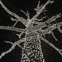 Vista 3 de Novelty Lights Guirnalda de luces LED de Navidad de 50 pies, 100 luces LED de color blanco puro, espacio de 6 pulgadas en cable marrón, luces