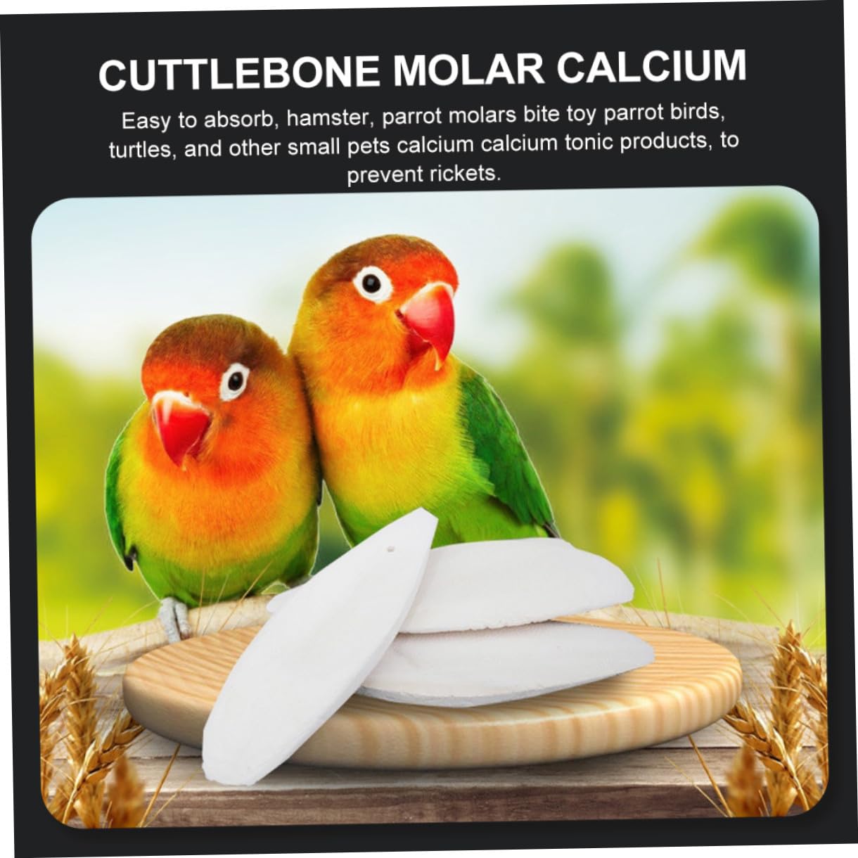 VICASKY 36 Ensembles Lot de Seiche à Mâcher pour Perroquets et Petits Animaux Jouets de Dentition avec Support Métallique Complément Calcium pour Becs et Dents Fixation Facile Cage