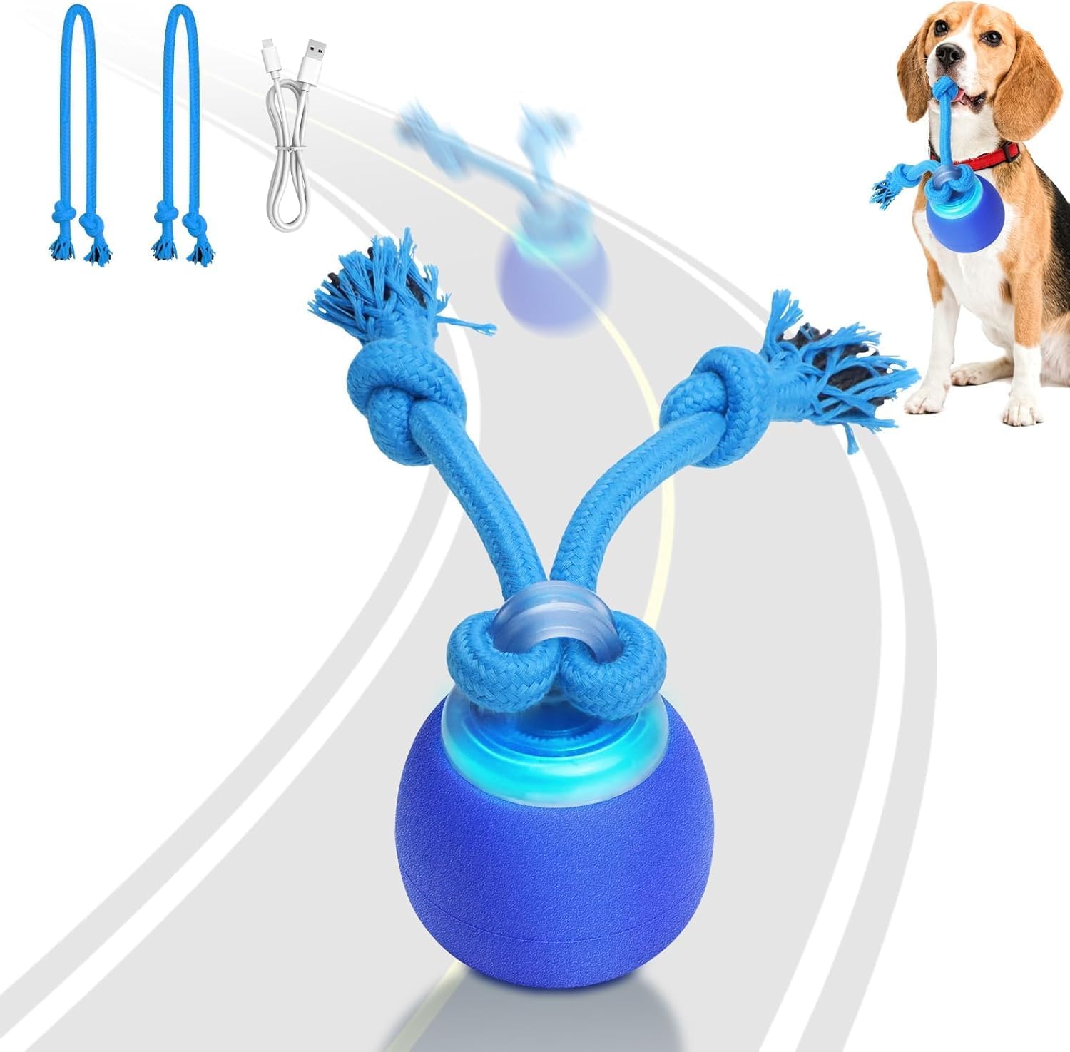Interactive Dog Toys