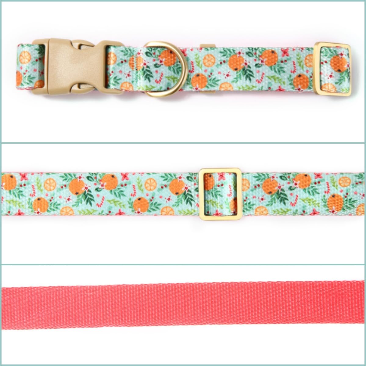 Petiry Vibrant Orange Fruit Print Nylon Dog Collar For Extra Small Dogs Neck 23-30cm,Orange,XS, A-GreenOrange - Image 4