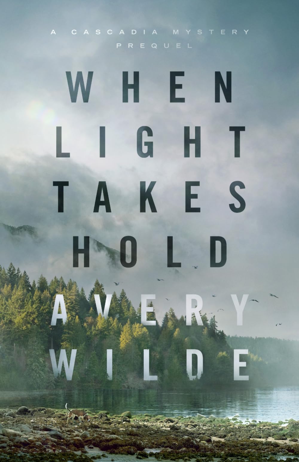 When Light Takes Hold: A Cascadia Mystery Prequel