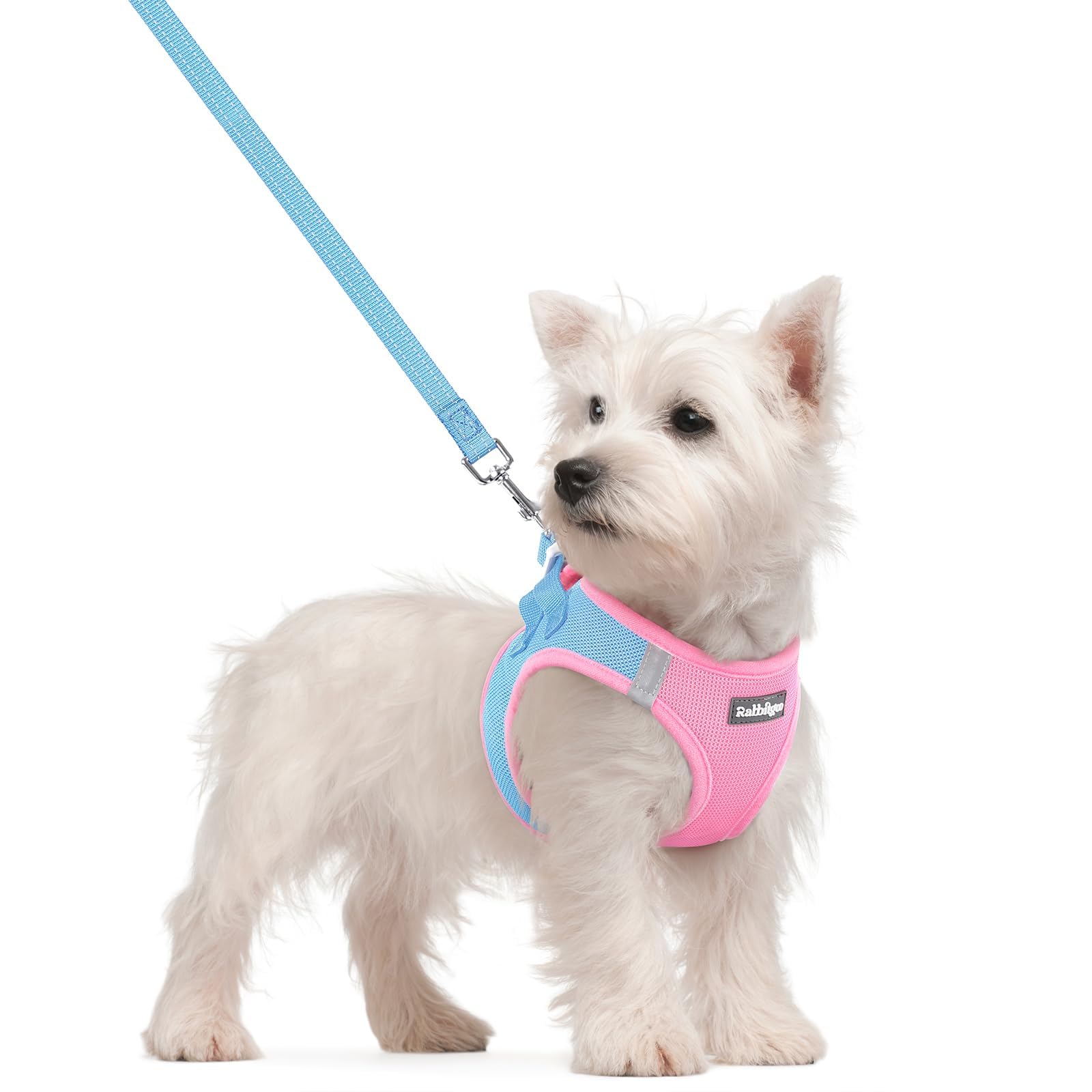 rabbitgoo Dog Harness Small Dog and Leash Set, Step-in Soft Mesh Puppy Harness with Reflective Strips, Lightweight Breathable Pet Vest for Walking Training, Blue & Light Pink, S