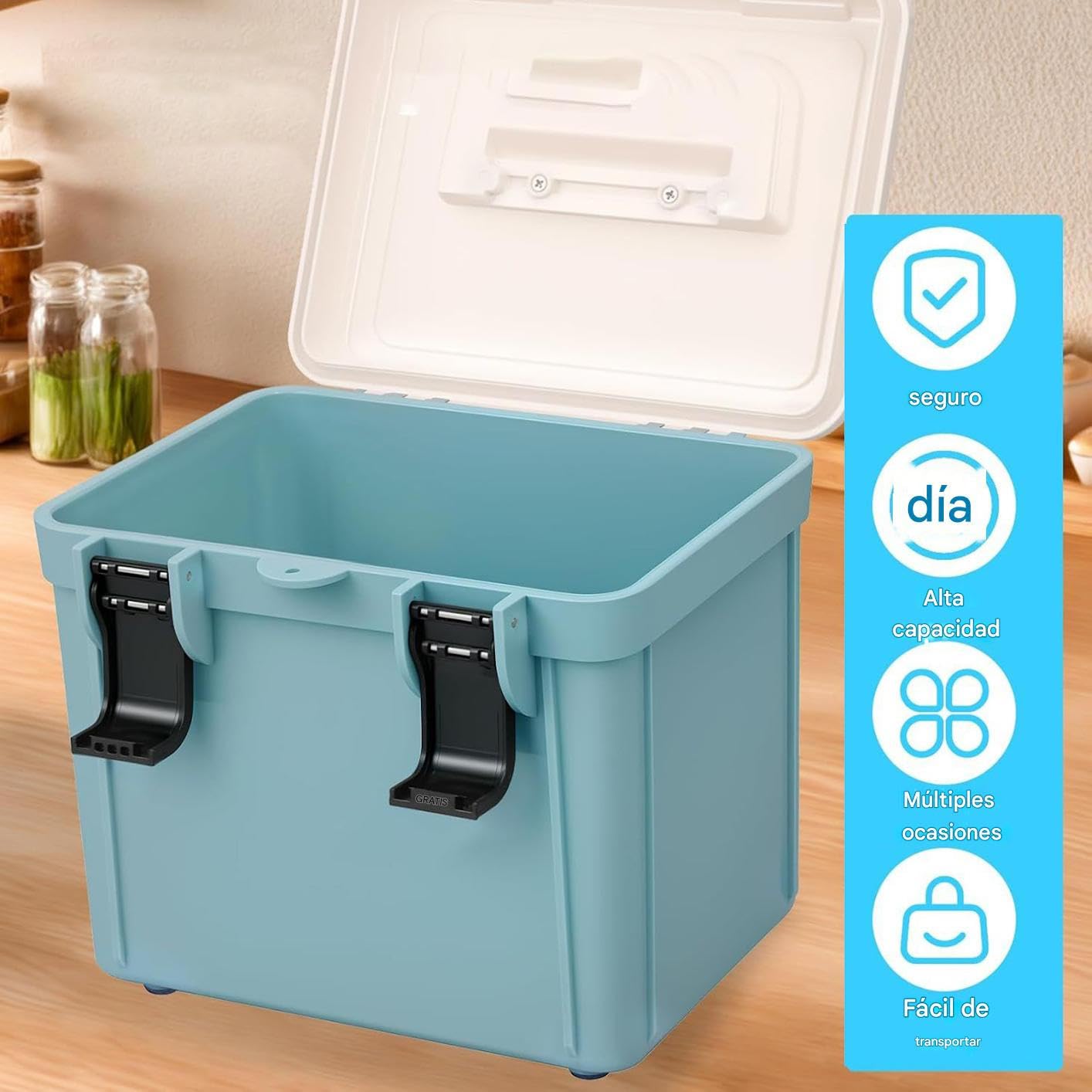 Genérico Caja para Medicamentos con Cerradura,Caja Fuerte Portátil Con Candado - Gran Capacidad Para Medicamentos, Herramientas Y Documentos, Portátil Para Hogar Trabajo Viajes Exterior Y Coche