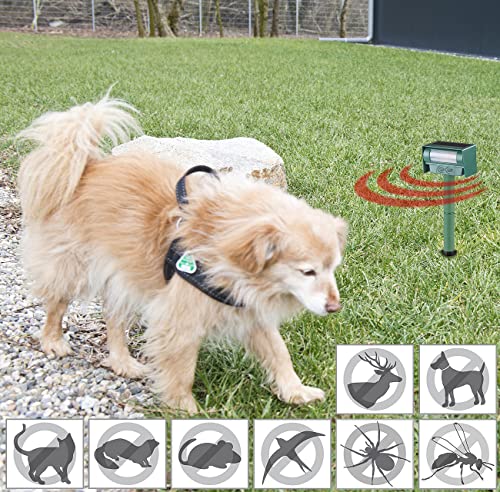 Royal Gardineer Hundeschreck Ultraschall: Ultraschall-Tierschreck gegen Hunde, Nager & Co., Solar, PIR-Sensor (Hunde vertreiben, Ultraschallpfeife gegen, Ton)
