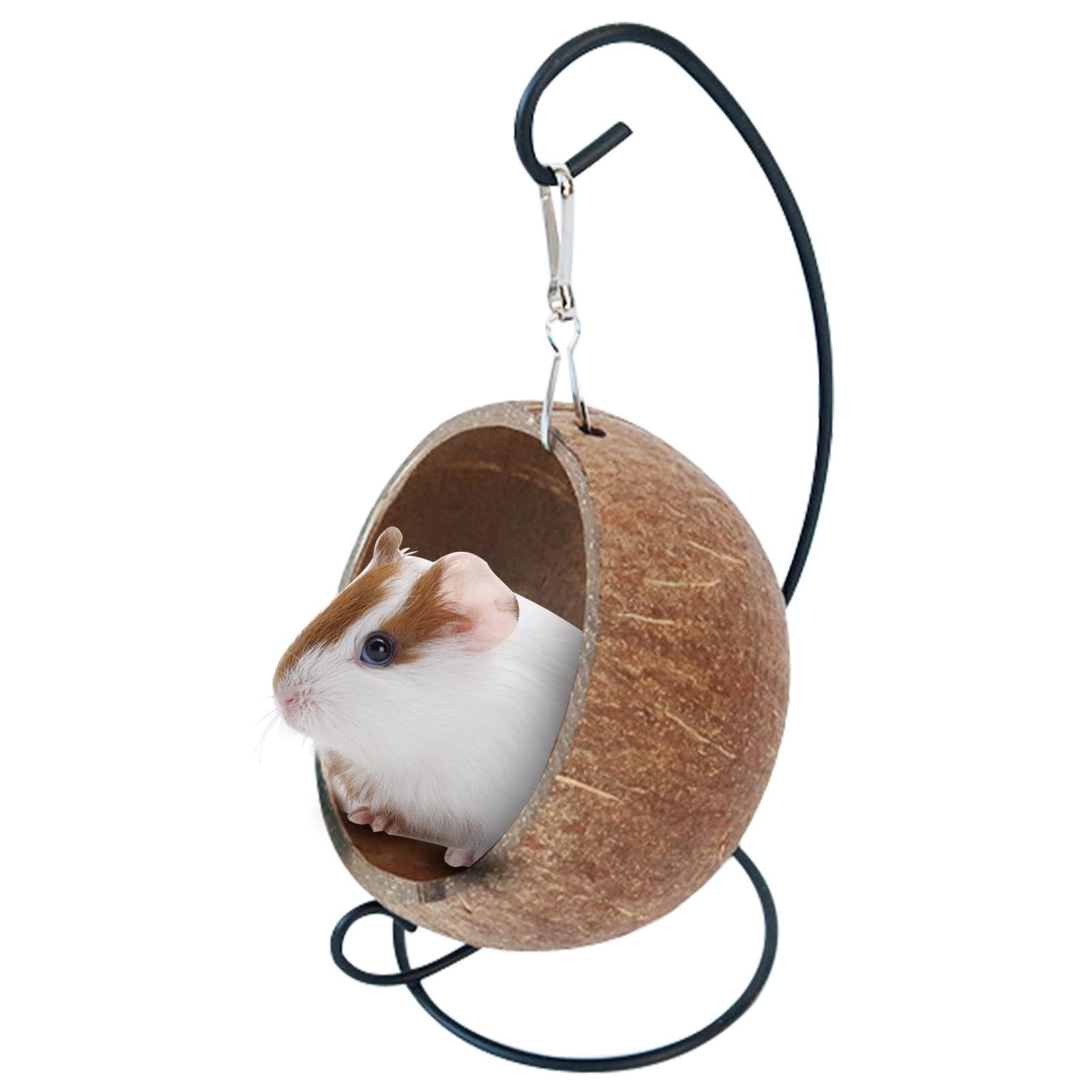 View 8