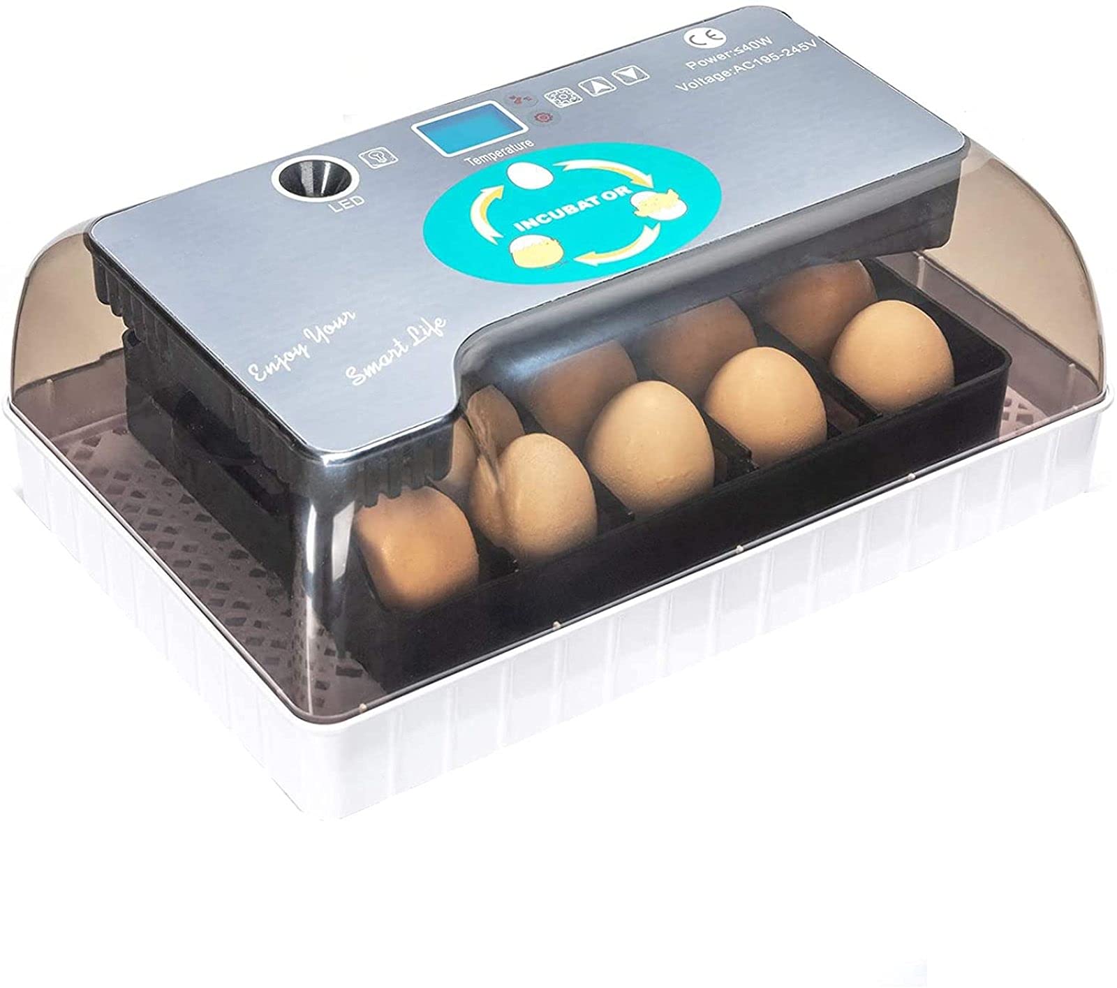 Incubadora digital de huevos completamente automática, 12 incubadoras de huevos, capacidad para incubar patos de gallina, aves de corral, paloma, codorniz, control de temperatura de humedad y