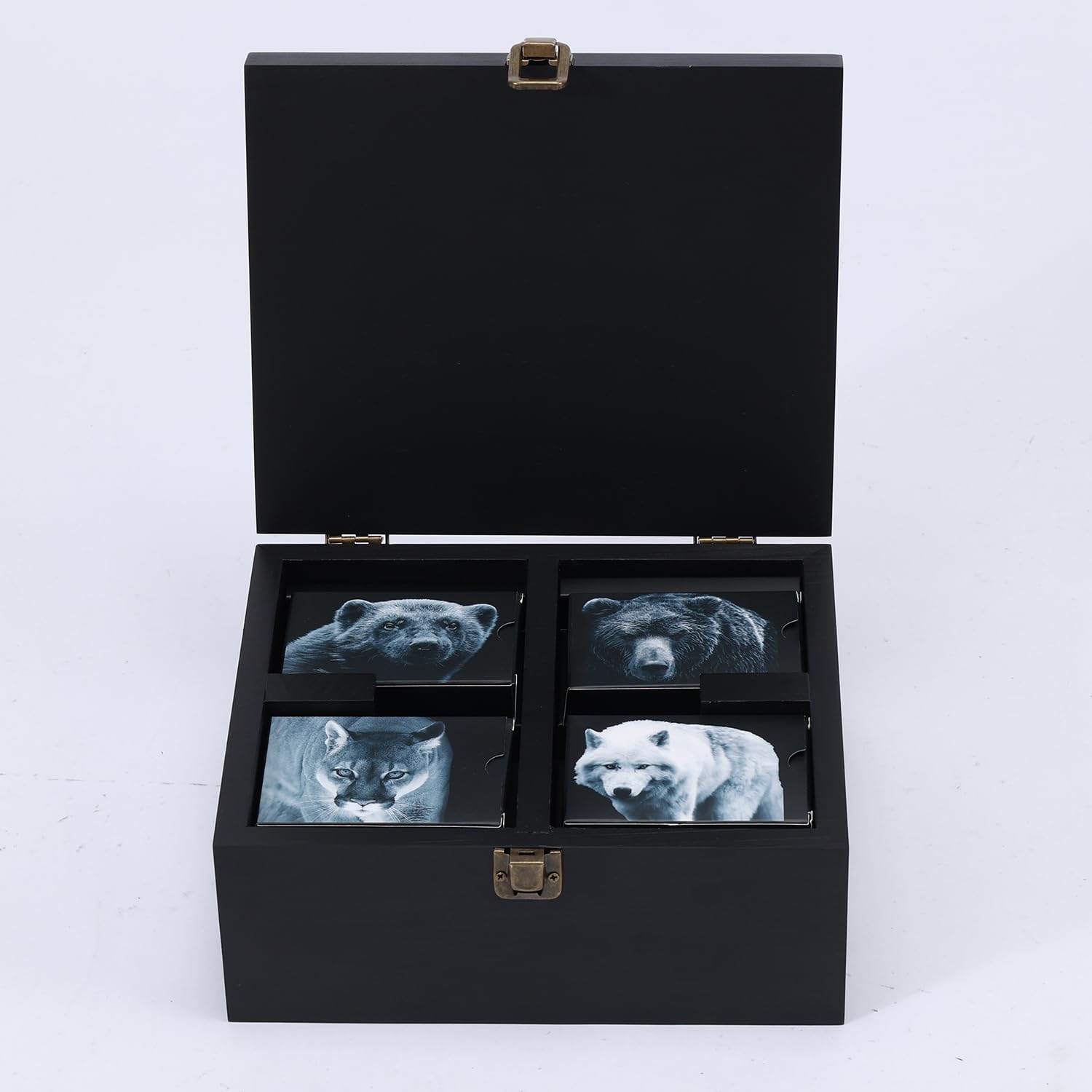 GUYTRENDz North American Predators Playing Cards with Organizer Box Waterproof Stylish Playing Cards, Cool Deck of Cards, Poker Cards for Collectors and Game Enthusiasts