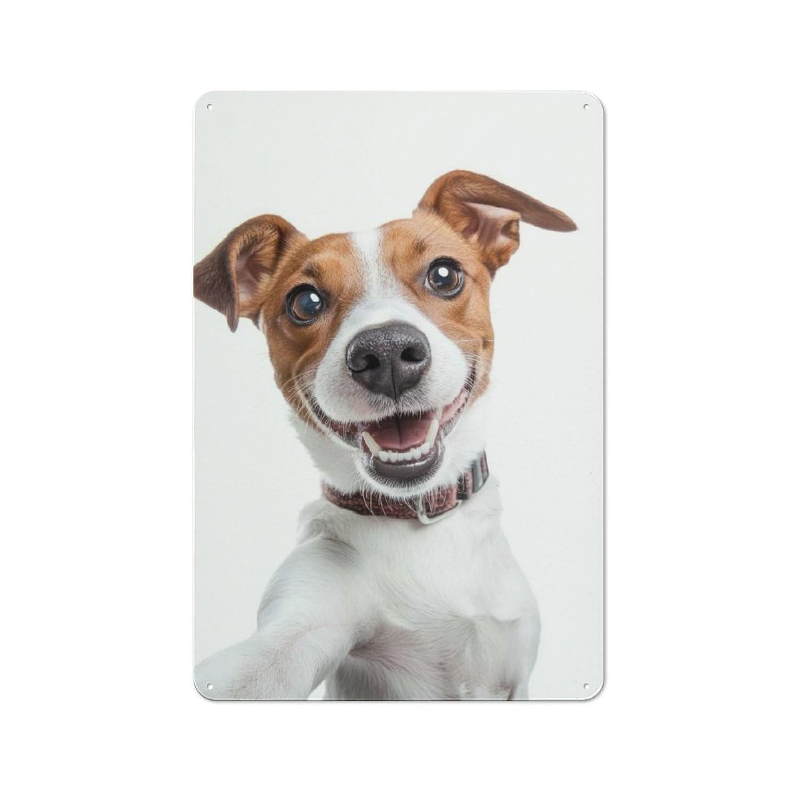 Junmoney Smiling Jack Russell Selfie Dog Tin Wall Plaque 30X20cm With For Kitchen Or Home Bar, Suited To Kitchen Decor Lovers