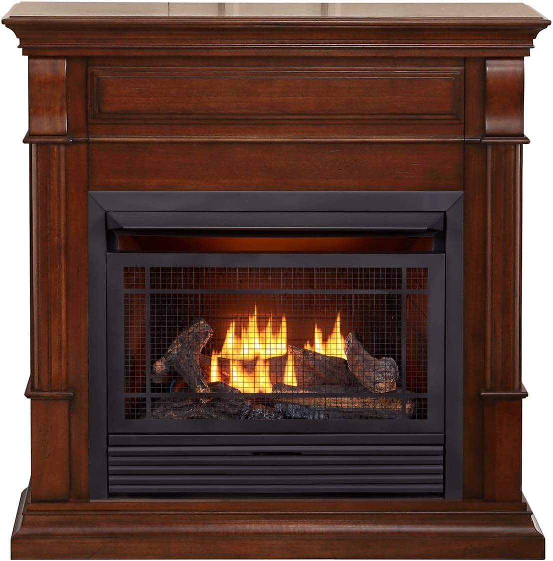 Dual Fuel Ventless Gas Fireplace Insert with