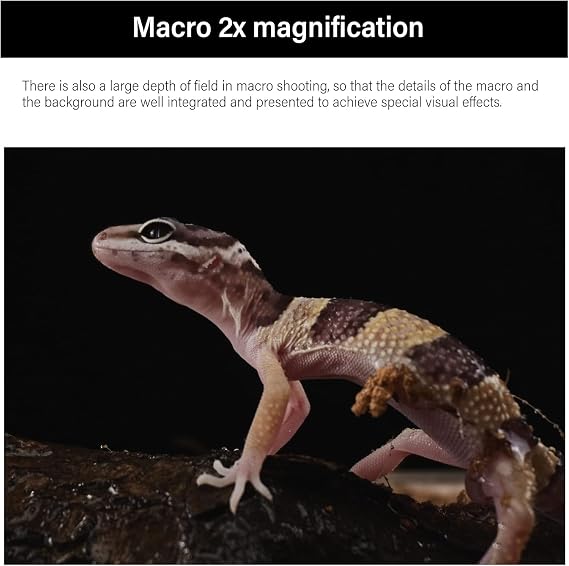 AstrHori 28mm F13 Probe Lens Full Frame 2X Macro Manual Focus Ultra Long Lens 90 Free Switching Special Macro Lens Built-in Ring Light for Leica/Panasonic/Sigma L Mount Series Mirrorless Cameras