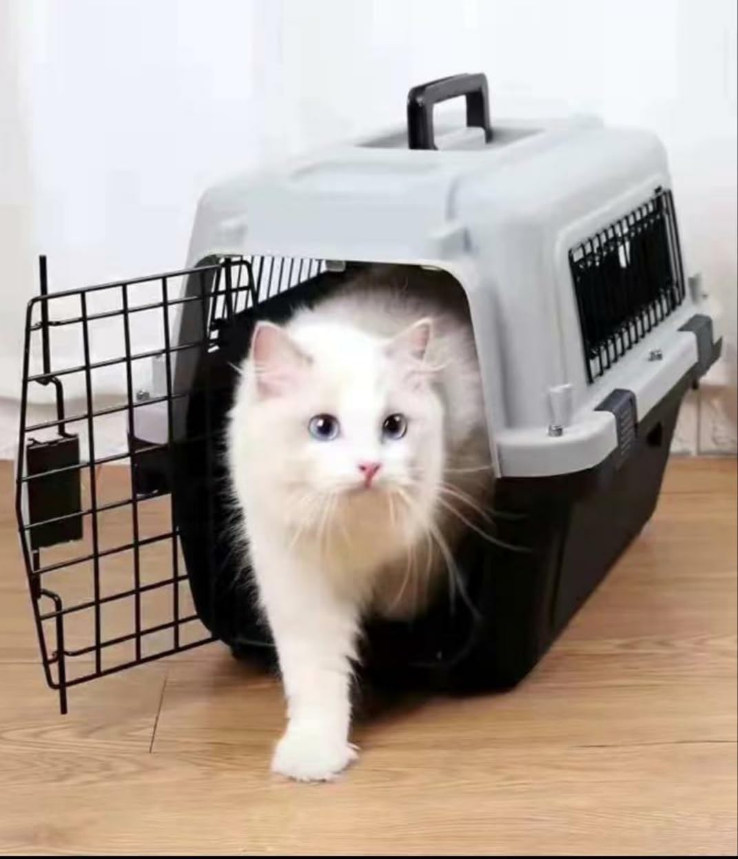 Transportin para Perros-Transportin para Gatos de hasta 8 Kilos, Puerta y Ventanas de Metal para Casa, Coche,Avion