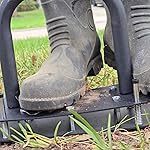 Review Image by Celeste Celeste