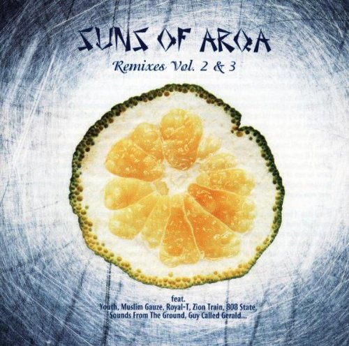 Remix Vols. 2 & 3 [Audio CD]