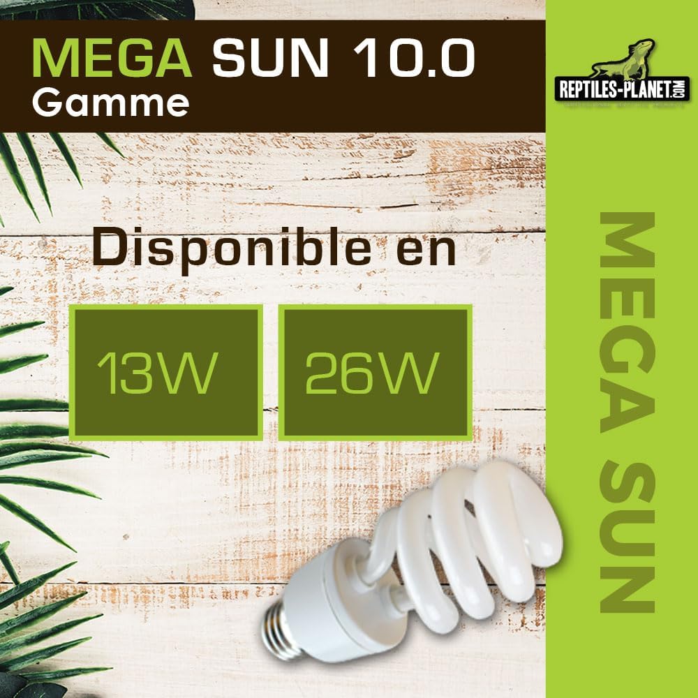 REPTILES PLANET Éclairage Méga Sun UVB 10,0 Lampe 13w 10% UVB - 30% UVA