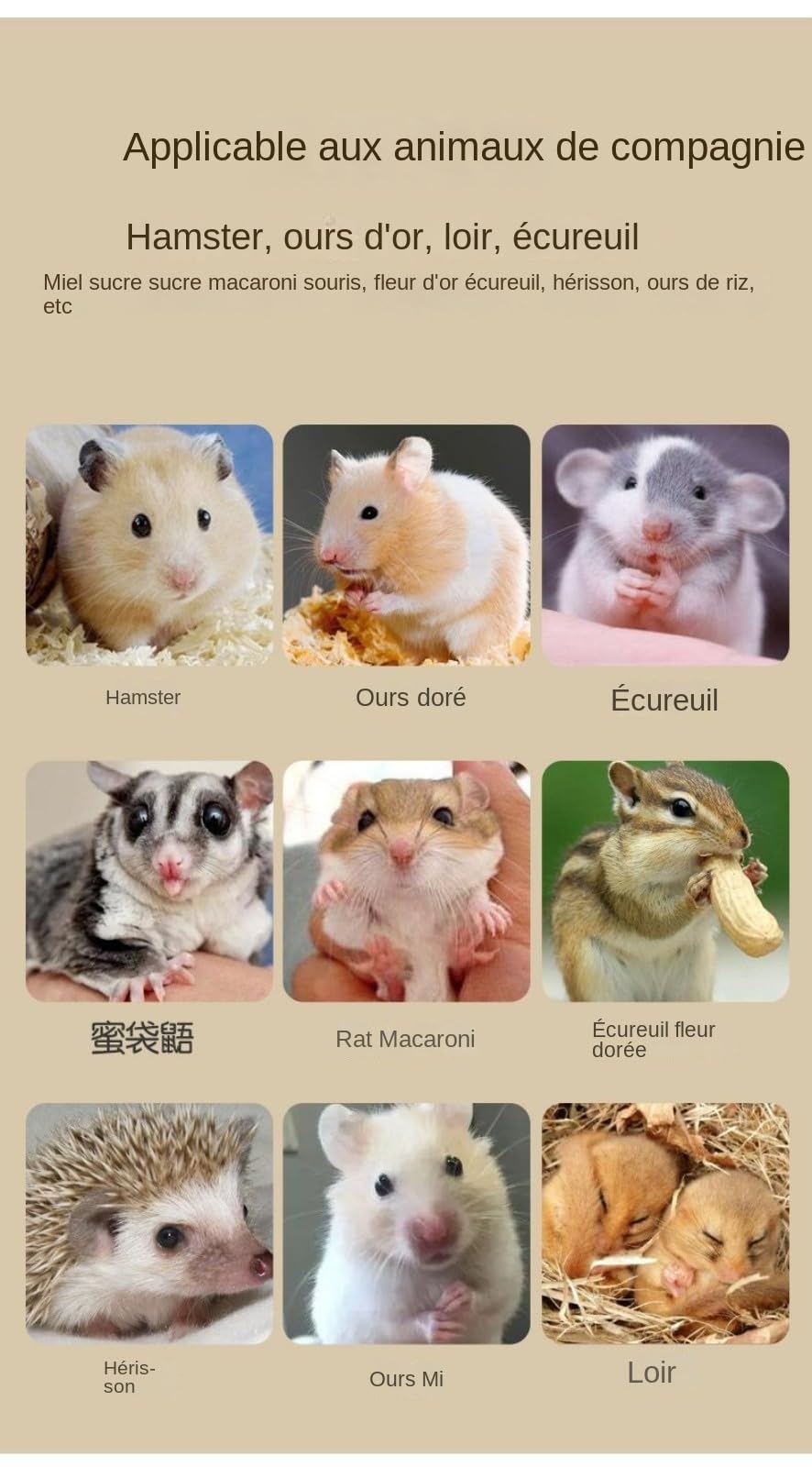 Habitat Trasparente Acrilico A Doppio Strato con Ciotola Di Cibo |Grande Gabbia per Criceto, Gabbia per Criceto - per Entusiasti Casa Interno Animale Da Viaggio Esercizio Gioco