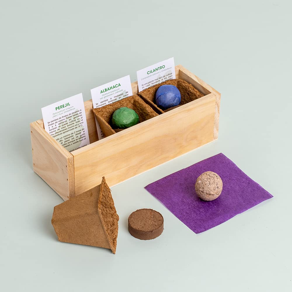 Minihuerto de Hierbas Aromáticas – Cultiva Perejil, Albahaca y Cilantro en Casa | Kit Completo con Macetas Biodegradables y Semillas | Ideal para Cocina, Regalo y Principiantes | Resetea
