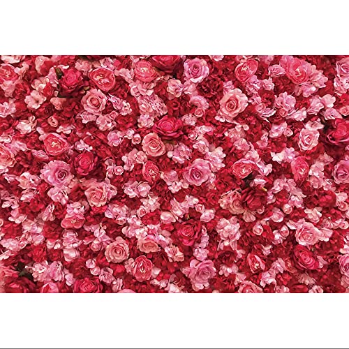 Toile de fond rose rouge de grand format pour shooting photo mariage