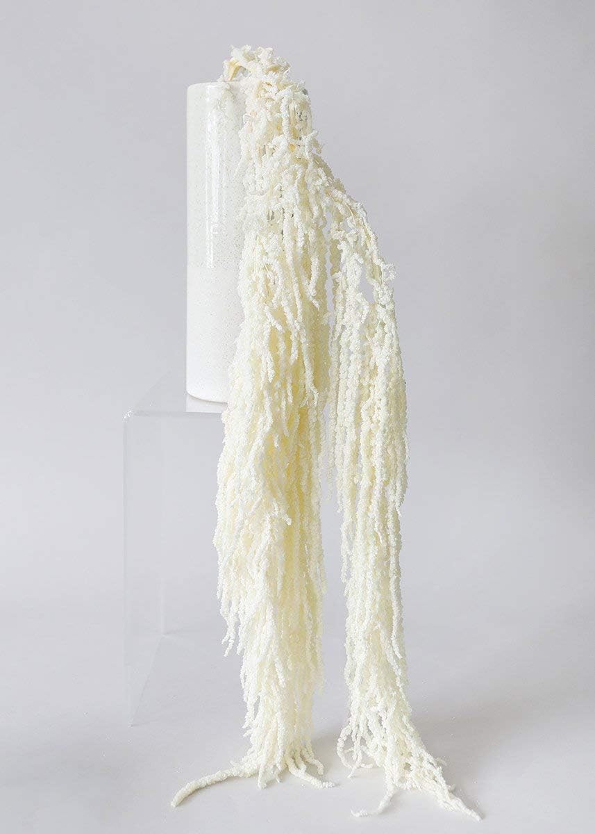 Generic Preserved Amaranthus Hanging Flowers, 32-40 inch, 4-6 Stems, Wedding, Event and Home Decor, White