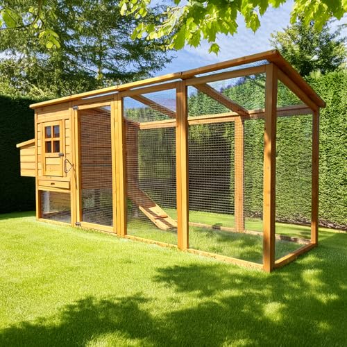 Cocoon 3000WX 8ft Chicken Coop Wooden Hen House with Integrated Run Pull-Out Tray Nest Box & Secure Sliding Door Ideal for Up to 34 Birds