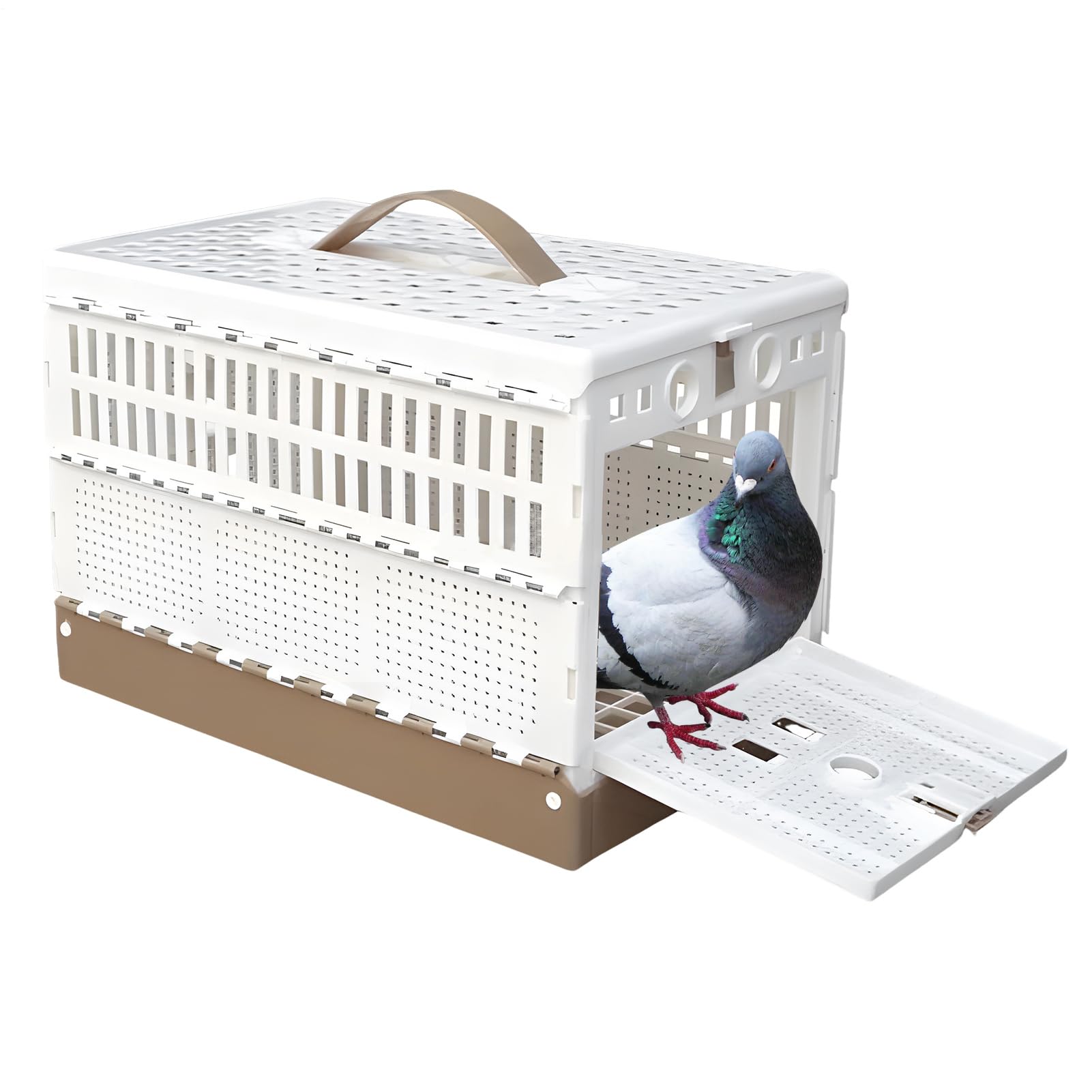 Cage pliable à double pour oiseaux afin de voyager sans stress en sécurité