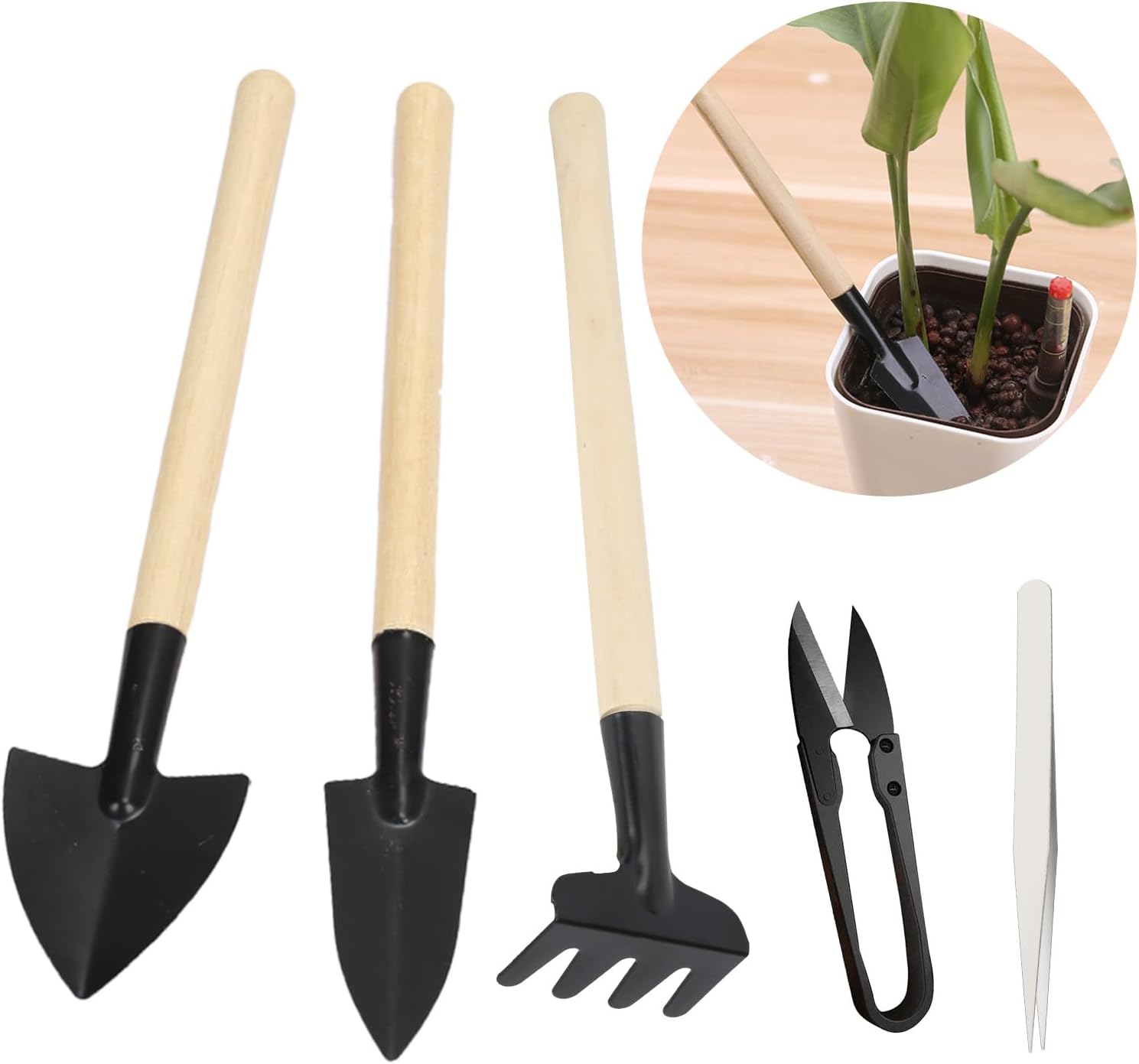 5 Pcs Mini Gardening Tools Set Succulent Garden Tools