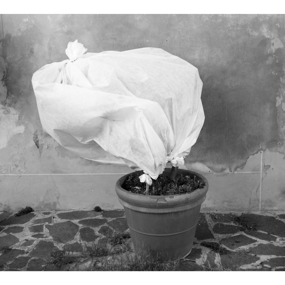 EraGreen Tejido de invierno 80g/m² 3,2 m x 80 m - Tejido para protección contra heladas de las plantas, tejido de protección contra el frío UV-resistente e impermeable, tejido para invernadero, tejido