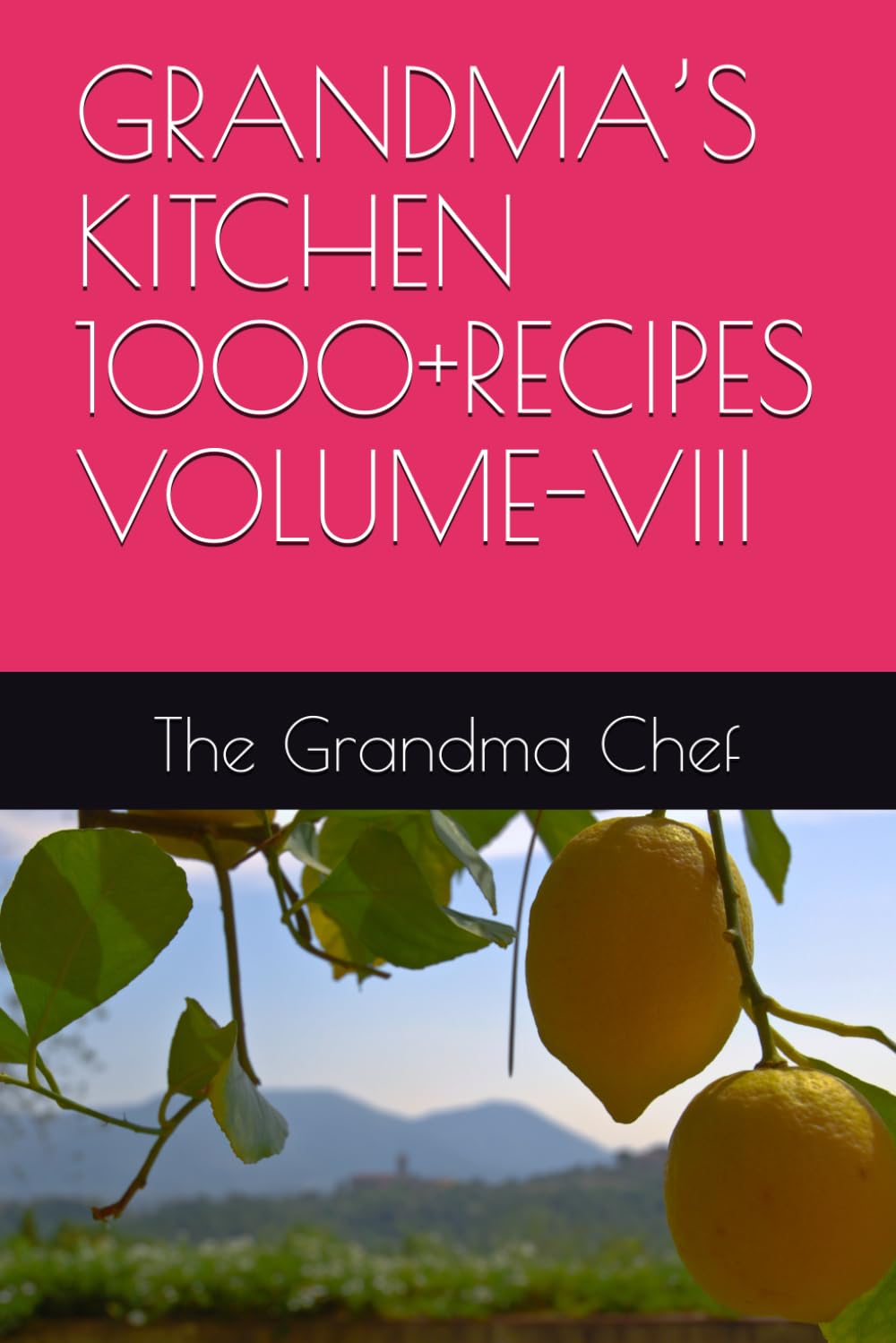 GRANDMA’S KITCHEN 1000+RECIPES VOLUME-VIII: 8
