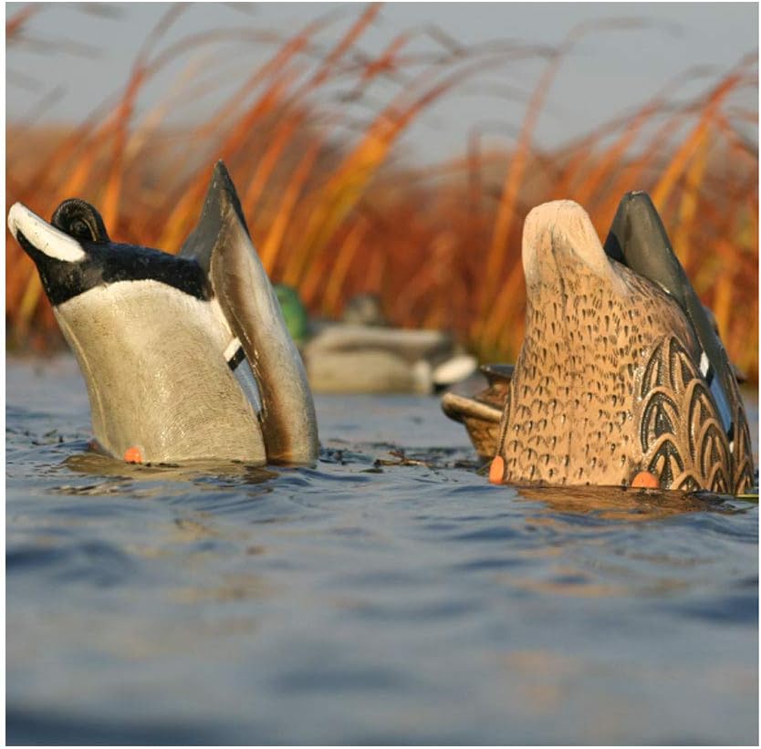 Avery Pair of Over-Size Mallard Butt-Up Feeder Decoys (71000)