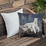 Housse de Coussin taies d'oreiller pour canapé-lit,décoratif,Tigre, chat albinos assis sur un rocher Sublime Nature Animaux merveil,Motifs imprimés Décoration de la Maison Housse de Coussin 45 x 45 cm