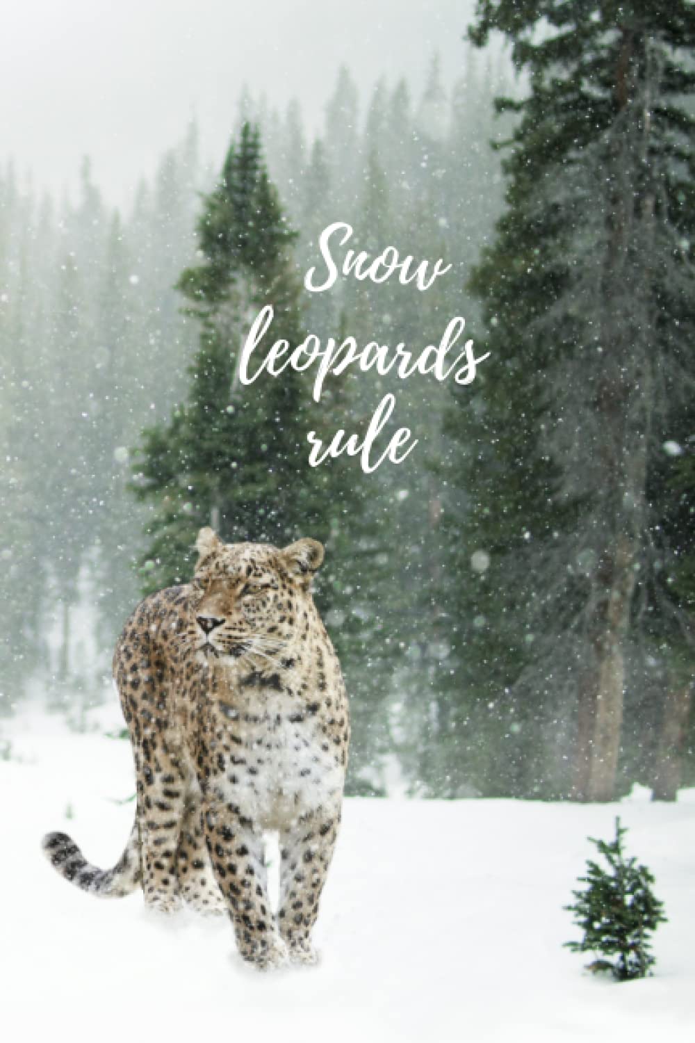 Snow leopard composition Notepad, journal, I love lions, lion book For Kids, School Exercise Notebook, Gift for lion Lovers, A Perfect Journal For ... For Kids, homeschool, teens or gift idea.