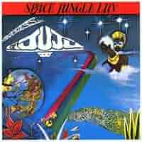 美品LP Oneness of Juju / Space Jungle Luv Space Jungle Luv | Oneness of Juju