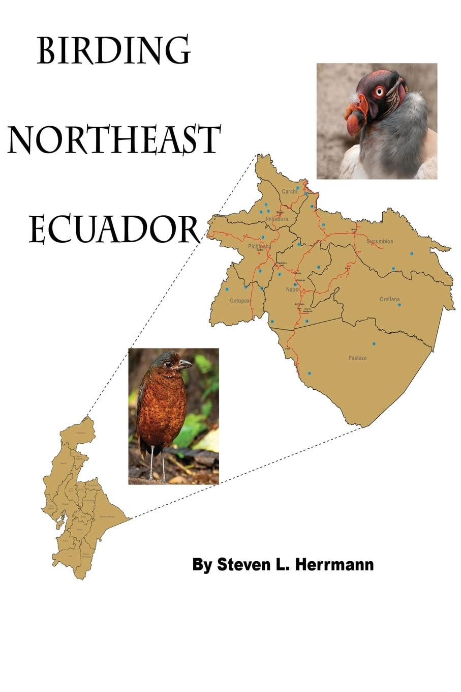 Birding Northeast Ecuador: Birding Areas of Northeast Ecuador: Volume 2 (Birding Areas of Ecuador)