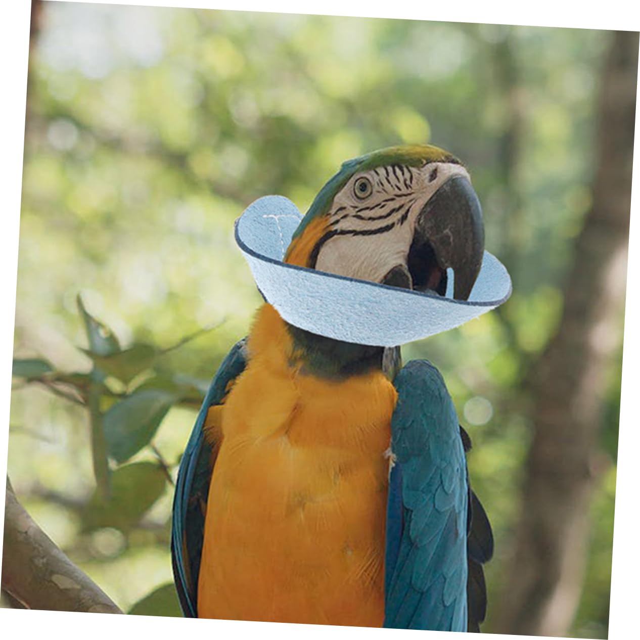 TOGEVAL Parrot Protective Collar Soft Washable Neckwear for Birds to Prevent Biting Pecking (Large)