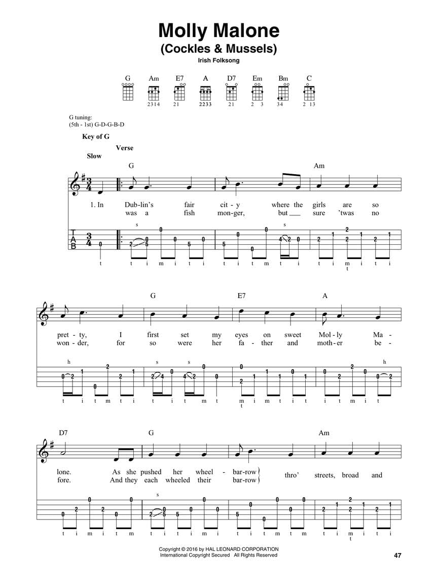 The Banjo Pub Songbook: 35 Reels, Jigs & Fiddle Tunes Arranged For 5-String Banjo: Noten, Sammelband für Banjo
