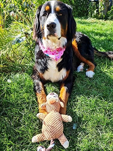 TINGERIA® Plush Dog Toy with Bandana for small & medium Dogs, squeaky Dog Chew Toys for Boredom, tough strong Puppy Teething Toys